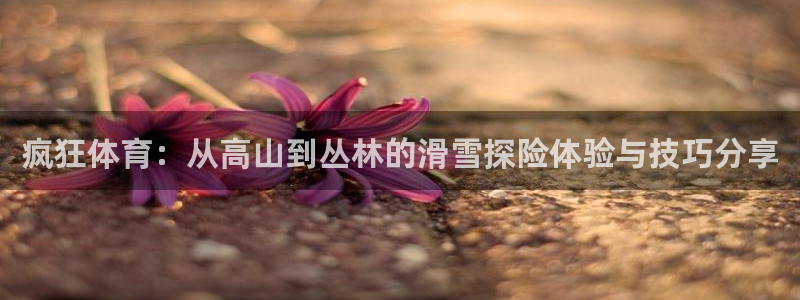 山猫直播在线直播：疯狂体育：从高山到丛林的滑雪探险体验与技巧分享
