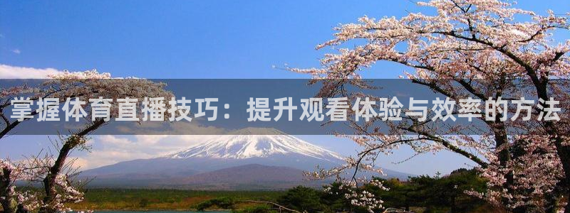 山猫体育免费直播发展联盟：掌握体育直播技巧：提升观看体验与效率的方法